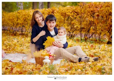 фотосессия семьи с маленьким ребенком до полугода на природе осенью: 7 тыс  изображений… | Осенние семейные фотографии, Осенние семейные портреты, Осенние  фотосессии
