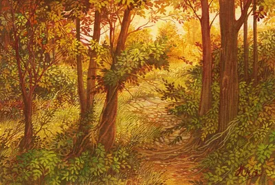 Купить картину алмазная мозаика на подрамнике «Осенний лес» 50x40 см, 30  цветов - gamestil.ru