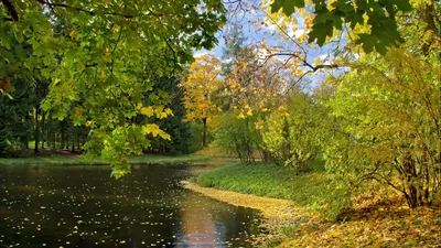 Купить цифровую версию картины: Винсент Ван Гог - Осенний пейзаж, Кембридж  | Артхив
