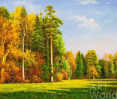 Foto Stock Красивый осенний лес отражается в зеркале пруда | Adobe Stock