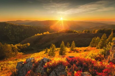 Осенний рассвет - красивые фото
