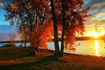 Осенний рассвет. Аллея деревьев - обои на рабочий стол
