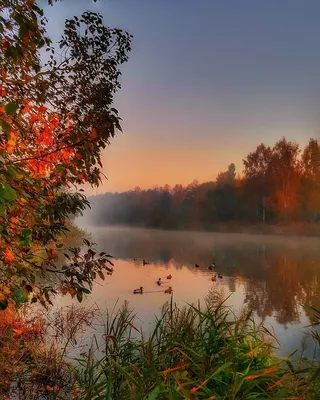 Осенний рассвет на Свислочи в Дроздах. #беларусь #минск #природа #пейзаж  #утро #рассвет #река #belarus #minsk #rb #instagram #… | Пейзажи, Осенние  картинки, Рассвет