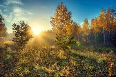 Осенний рассвет обои для рабочего стола, картинки Осенний рассвет,  фотографии Осенний рассвет, фото Осенний рассвет скачать бесплатно |  FreeOboi.Ru