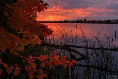 Фото Осенний Закат Природа Рассветы и закаты