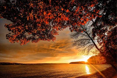 Осенний закат — Фото №1444260