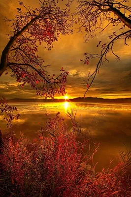Невероятный осенний закат! ... | Fall foliage, Sunset, Natural landmarks