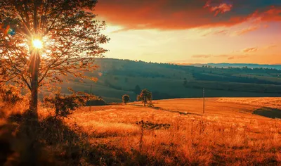 Осенний закат на Или #алматы #казахстан #фото #фотоалматы #золотухин #или  #фотоарт #пейзаж #река #лучшийгородземли #landscapephotography… | Instagram