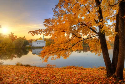 📸@krasota_kaliningrada Осенний закат🍁🍂❤ #закат #sunset #регион39  #калининград #кенигсберг #балтика #зеленоградск #кранц #cranz #полесск… |  Instagram