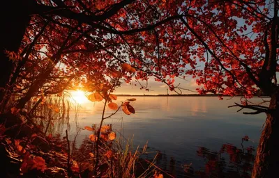 Осенний закат. Фотограф sozel