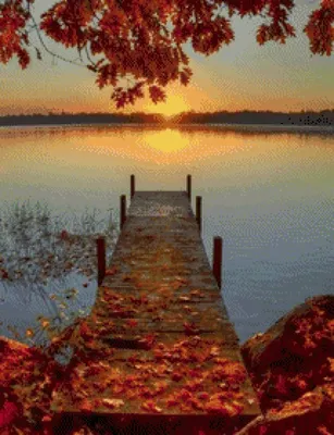 Картинка Осенний закат » Осень картинки скачать бесплатно (353 фото) -  Картинки 24 » Картинки 24 - скачать картинки бесплатно