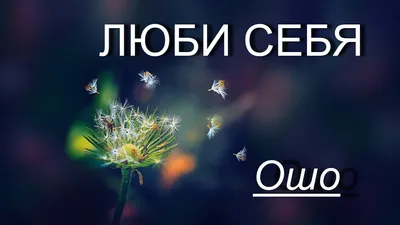 Притчи от ОШО. Книга 5 | Ошо - купить с доставкой по выгодным ценам в  интернет-магазине OZON (554170514)