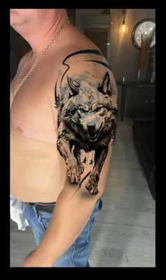 Tattoo • Подборка тату на тему: оскал Волка (71 фото)