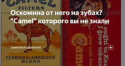 Психогенеалогия. Анн Анселин Шутценбергер - «\"Отцы ели кислый виноград, а у  детей на зубах оскомина\". Библия» | отзывы