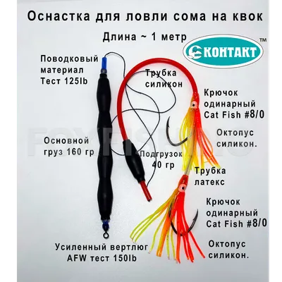 Как поймать сома на донку с берега — правильная оснастка и наживки |  Рыбалка Лучший отдых | Дзен