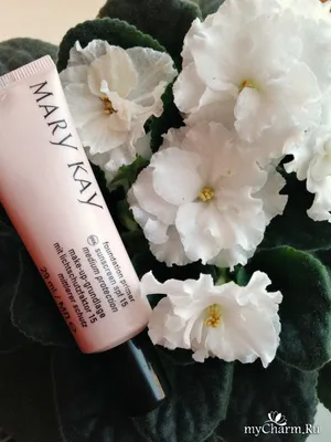 Основа под макияж Mary Kay Timewise Matte 3D Foundation BRONZE W 130 -  325781216651 - купить на eBay.com (США) с доставкой в Украину |  Megazakaz.com