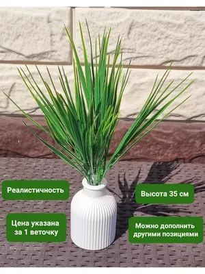 Посадите эти декоративные травы в своем саду | Валентина Мусагитова | Дзен