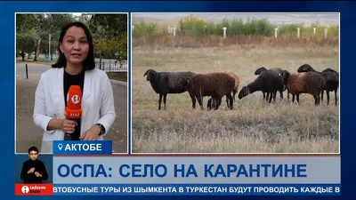 Агрохолдинг ОСП Агро - Современная молочно-товарная ферма #оспагро 🐮 #cow  #ферма #коровник #сх #агробизнес #агрокомплекс #животноводство #животновод # корова #коровы #молоко #надои #крс #агроблог #блог #агрохолдингоспагро  #сельхоз #сельхозживотные ...