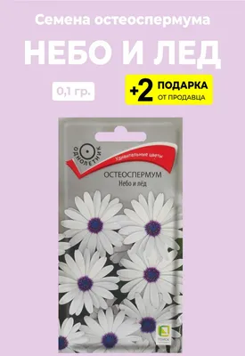 Семена цветов Остеоспермум \"Небо и лед\", 3 упаковки + 2 Подарка — купить в  интернет-магазине по низкой цене на Яндекс Маркете