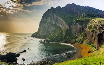 южное побережье острова чеджу в южной корее Стоковое Фото - изображение  насчитывающей цветок, джунгли: 224708520