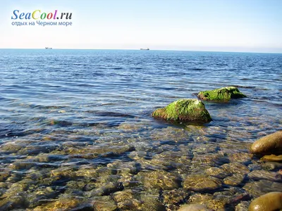 Базы отдыха в Дедеркое, Краснодарский край у моря — снять турбазы недорого