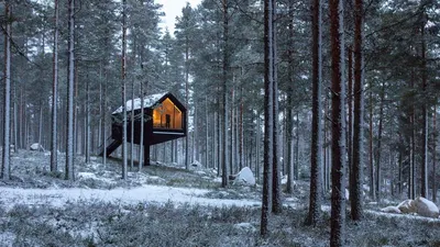 Отдых в лесу со всеми удобствами: топ 5 мест для отдыха и оздоровления |  Курортная панорама | Дзен