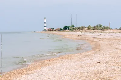 Отдых в Скадовске – медуз и блох нет, но туристы жалуются на камку. Видео |  OBOZ.UA