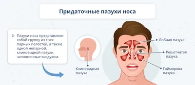 Блефарит: симптомы и лечение - энциклопедия Ochkov.net