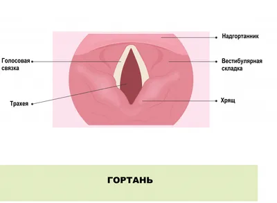 Случай лечения отек Квинке, неотложная гомеопатическая помощь ребенку -  Клиника С Ганемана