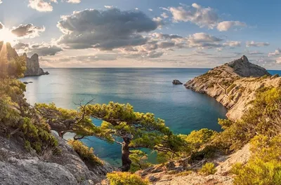 Чудо природы, которым можно полюбоваться в сентябре🌊 - Отель «Русалма», г. Алушта