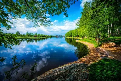 🌴 Экскурсия в парк Као Сок и озеро Чео Лан (Капсульный отель) 🌴