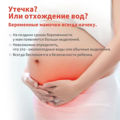 Как выглядит подтекание околоплодных вод? Способы отличить подтекание  околоплодных вод и выделения - YouTube