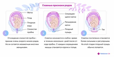 Подтекание околоплодных вод | Симптомы подтекания вод при беременности