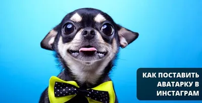 Как удалить аккаунт в Instagram - Коммерсантъ
