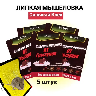 Тише мыши: как символ наступающего года обосновался в нашей жизни | Статьи  | Известия