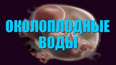 Как отходят воды у беременных? - Иркутский городской перинатальный центр  имени Малиновского М.С.