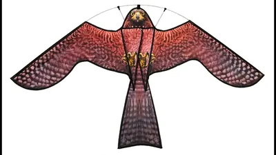 Динамический отпугиватель птиц \"Кондор\" с флагштоком 4 или 7 м