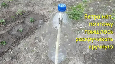 Отпугиватель птиц из пластиковой бутылки своими руками - YouTube
