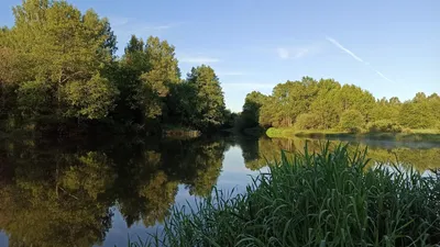 Красивые отражения в воде