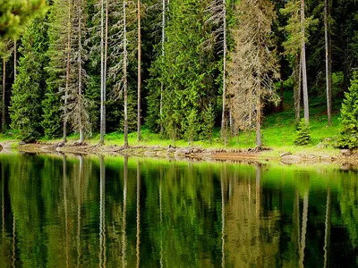 Отражение лица в воде - красивые фото