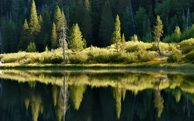 Водная гладь как элемент архитектуры | Статья | Culture.pl