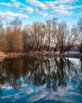 Реалистичное отражение на воде | Adobe Photoshop - YouTube