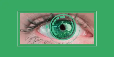 Виды отслойки сетчатки глаза, причины и методы лечения | Центр  микрохирургии глаза Макарчука - офтальмологический центр в Бресте
