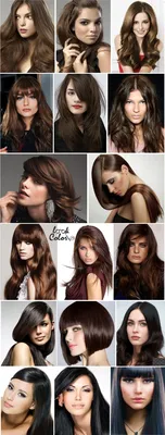 Темный цвет волос: оттенки, краска, прически, макияж для брюнеток |  LOOKCOLOR | Цвет волос, Тёмный цвет волос, Баклажановый цвет волос