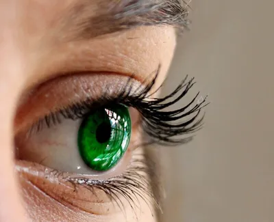 Макияж на выпускной 2021 для зеленых глаз - Рамблер/новости