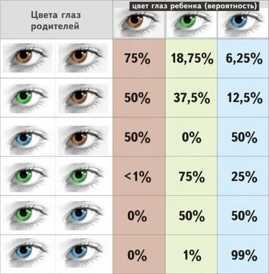 Как генетически наследуется зеленый цвет глаз? | Генетика и медицина | Дзен