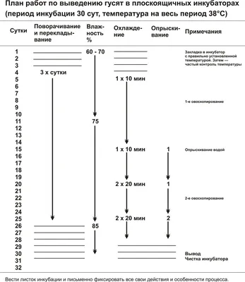 Ovoscope-BR-01 - TM Broody