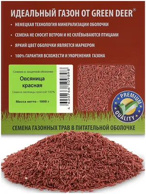 Овсяница красная красная Максима1 (15 кг) купить в Москве