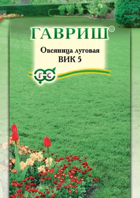 Семена \"Овсяница Луговая\", 20 г купить по цене 72 ₽ в интернет-магазине  KazanExpress