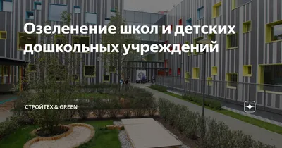 Озеленение пришкольного участка: рекомендации, планирование работы,  справочные материалы – купить по цене: 96,30 руб. в интернет-магазине УчМаг